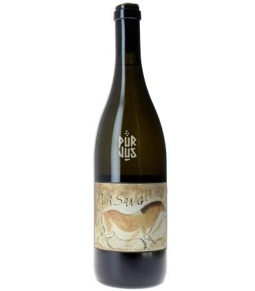 Pur sang - 2020 - Louis Benjamin Dagueneau