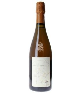 Les P'tits Vélos à Pignon Fixe - 2022 - Domaine de Bellivière