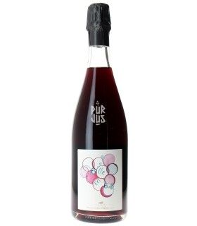 Bille en Bulle - 2022 - Clément et Laure-Anne Nicolas
