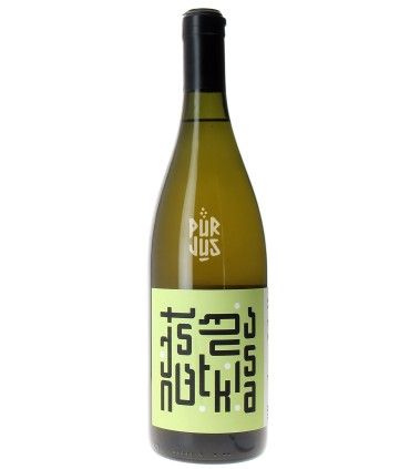 Tsitska (Blanc) - 2023 - Gela Patalishlivi