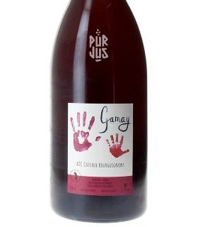 Gamay Côteaux Bourguignons - 2023 - Mélissa Bazin et Romain De Moor - Magnum