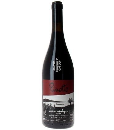 Pinotto - 2022 - Clémentine Bouvéron et Gian Marco Antonuzi