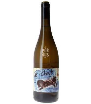 Le Chat - 2022 - Clémentine Bouvéron et Gian Marco Antonuzi