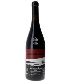 Cocciuto Rosso - 2022 - Clémentine Bouvéron et Gian Marco Antonuzi