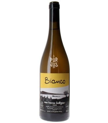 Bianco - 2022 - Clémentine Bouvéron et Gian Marco Antonuzi