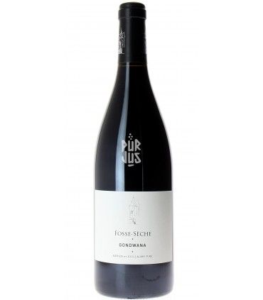 Gondwana - 2023 - Adrien et Guillaume Pire