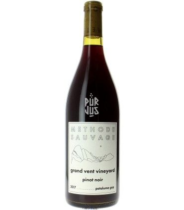 Grand Vent Vineyard - 2017 - Chad Hinds