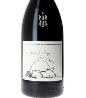 La Colline des Dames - 2024 - Jean François Ganevat - Magnum