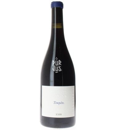 Tempête - 2023 - Camille et Mathias Marquet