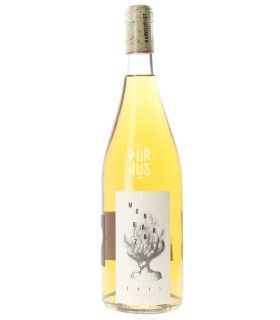 Monbazar - 2021 - Vincent Alexis