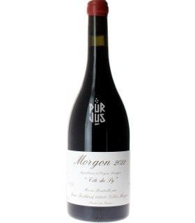 Côte du Py - 2022 - Jean Foillard