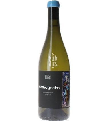 Orthogneiss - 2022 - Fred Niger