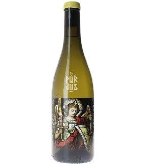 Sole - 2023 - Fred Niger