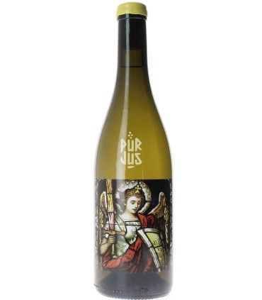 Sole - 2023 - Fred Niger