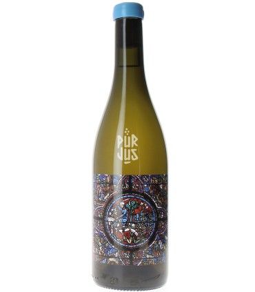 Cito - 2022 - Fred Niger