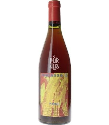 Planals - 2023 - Tom Lubbe