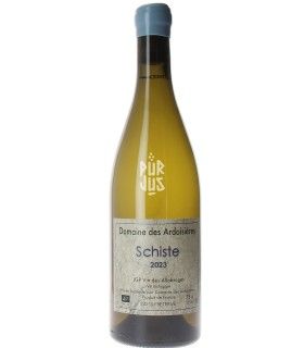 Schiste - 2023 - Brice Omont