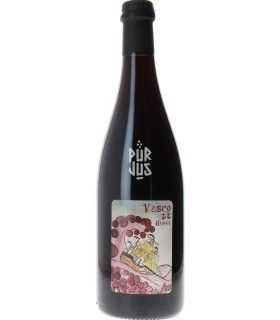 Vasco de Gamay - 2022 - Grégoire Perron