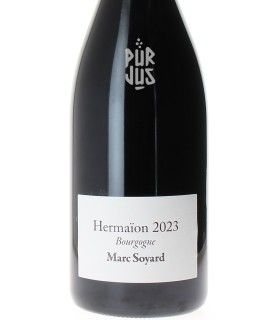 Hermaïon - 2023 - Marc Soyard - Magnum