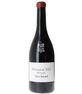 Hermaïon - 2023 - Marc Soyard