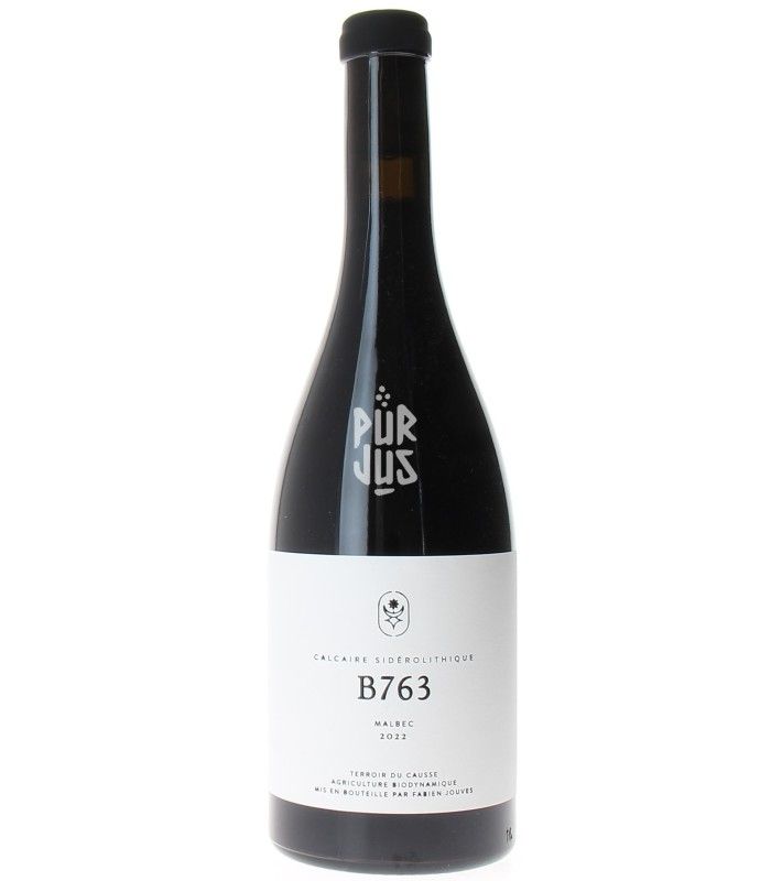 B763 - 2022 - Fabien Jouves