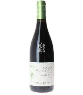 Coteaux Bourguignons "Cuvée Hugo" - 2023 - Morgan et Julie Truchetet