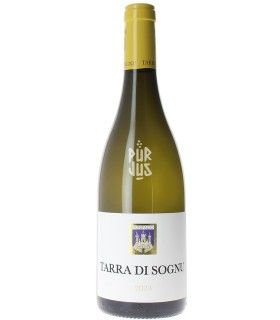 Tarra Di Sognu Blanc - 2024 - Yves Canarelli