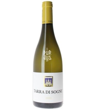 Tarra Di Sognu Blanc - 2024 - Yves Canarelli