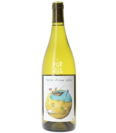 Petite Arvine - 2024 - Guillaume Bodin
