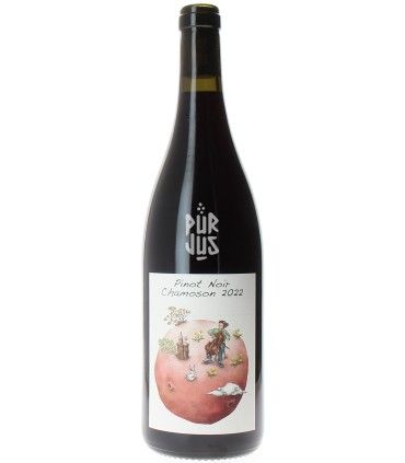 Pinot Noir Chamoson - 2022 - Guillaume Bodin
