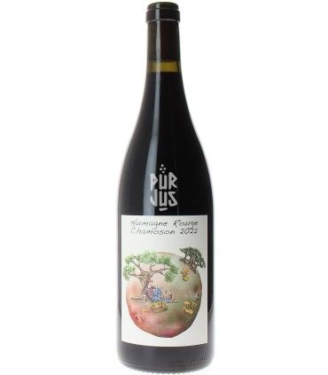 Humagne Rouge Chamoson - 2022 - Guillaume Bodin