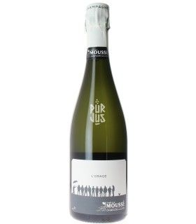 Champagne L'Orage - 2021 - Cédric Moussé
