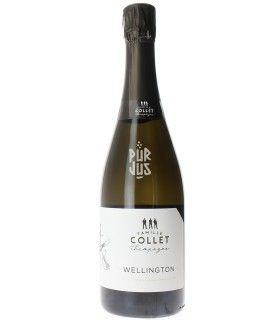 Champagne Wellington - 2019 - Thomas et Florent Collet