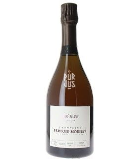 Champagne Rosé Blanc - Cécile et Vincent Bauchet