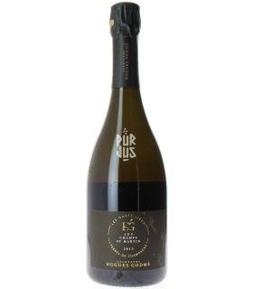 Champagne Parcellaire Les Champs St Martin - 2013 - Hugues et Lucille Godmé