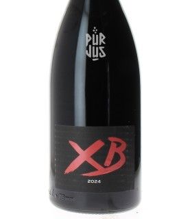 XB - 2024 - Xavier Braujou - Magnum