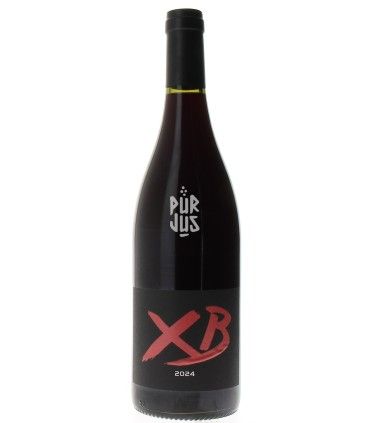 XB - 2024 - Xavier Braujou