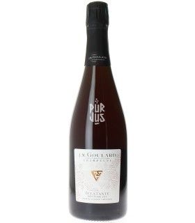 Champagne Eclatante - 2019 - Damien Goulard