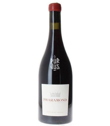 Coteaux Champenois Pharamond - 2019 - Damien Goulard