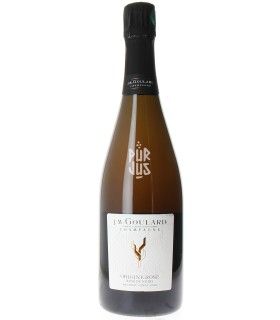 Champagne Origine Rosé - Damien Goulard