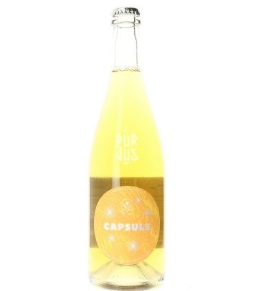 Capsule - 2024 - Fabien Jouves