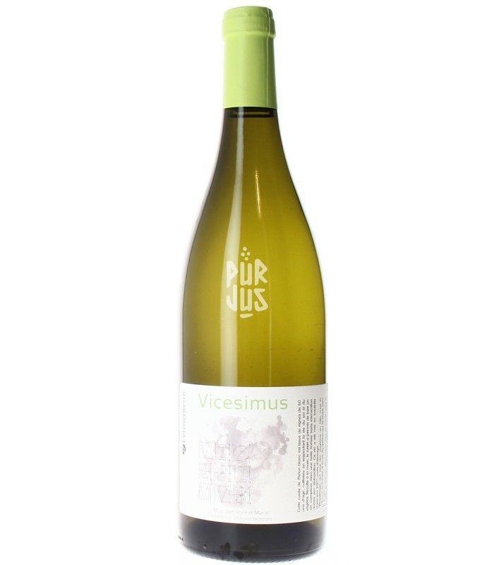 Vicesimus - 2020 - Fermenterre