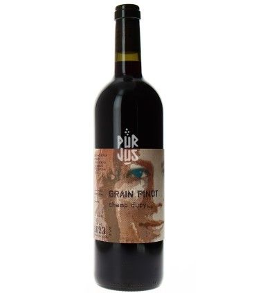Grain Pinot "Champ Dury" - 2023 - Domaine Marie Thérèse Chappaz