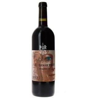 Grain Pinot "Chamoson" - 2023 - Domaine Marie Thérèse Chappaz