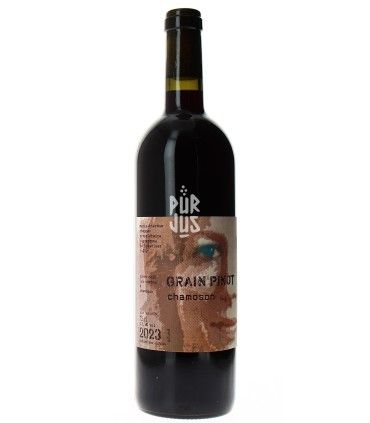 Grain Pinot "Chamoson" - 2023 - Domaine Marie Thérèse Chappaz