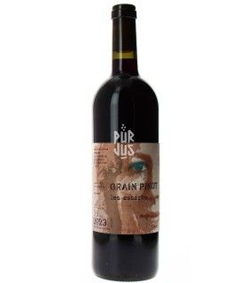 Grain Pinot "Les Esserts" - 2023 - Domaine Marie Thérèse Chappaz