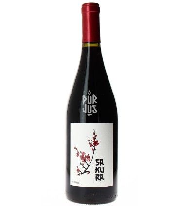 Sakura - 2023 - Duseigneur