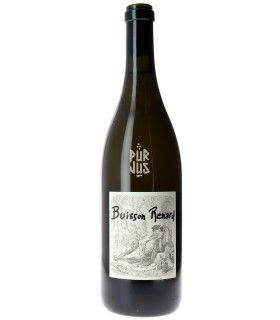 Buisson Renard - 2022 - Louis Benjamin Dagueneau