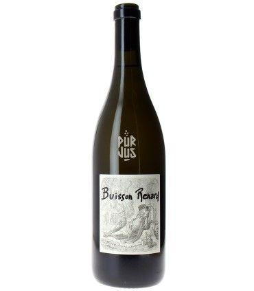 Buisson Renard - 2022 - Louis Benjamin Dagueneau