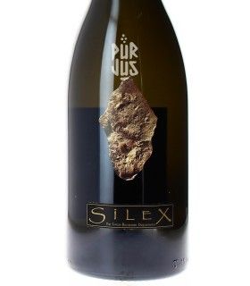 Silex - 2022 - Domaine Didier Dagueneau - Magnum